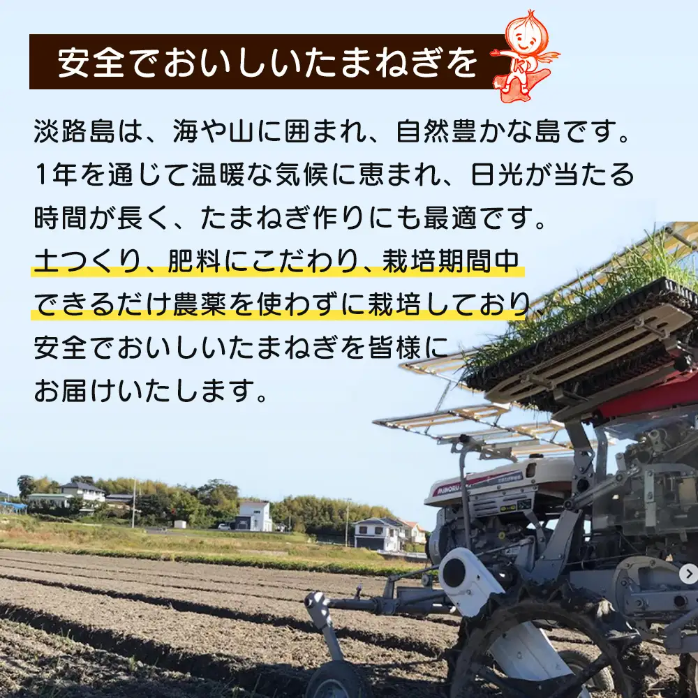 淡路島玉ねぎ 歩-AYUMU- 5kg　玉ねぎ