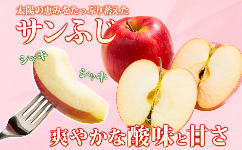りんご贈答用サンふじ 青森県産 りんご【約3kg】【2月発送】