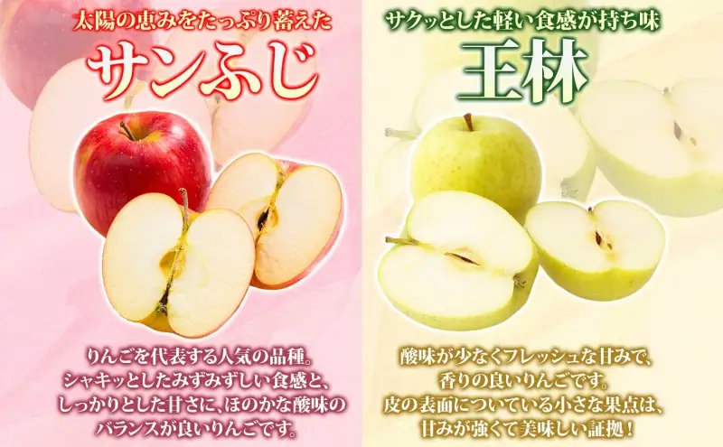 りんご贈答用サンふじ王林 青森県産 りんご【約10kg】【2月発送】
