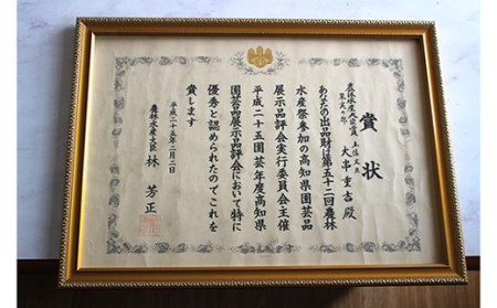 土佐文旦10kg 家庭用 文旦 小玉
