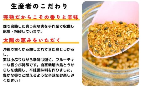 沖縄島とん満足セット【古謝ぐゎー商店】