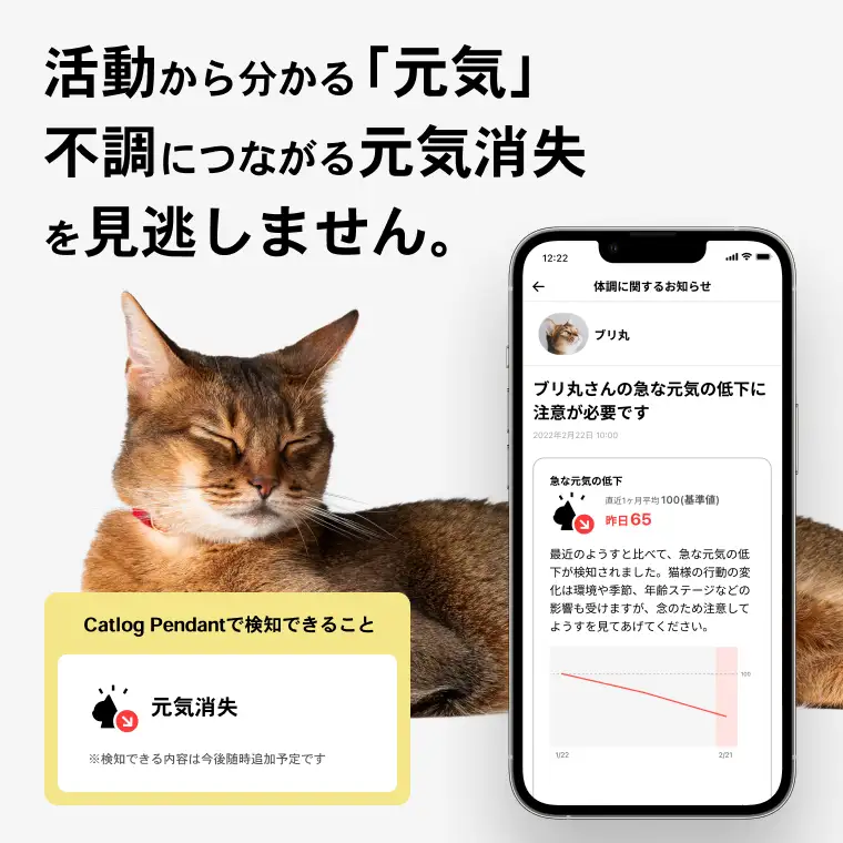 K2122 【1猫様用】Catlog 基本セット