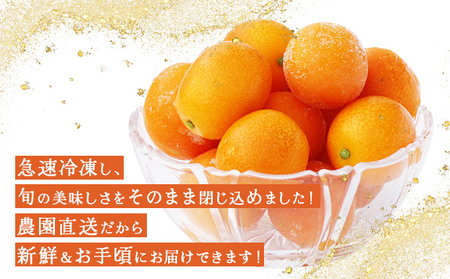 ＜先行予約＞産地直送 冷凍完熟きんかん 800g_K034-003