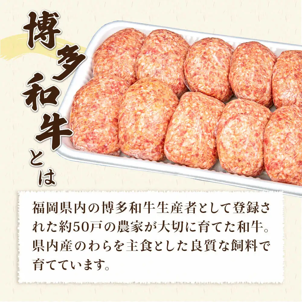 【全3回定期便】博多和牛と糸島産豚肉入り手作り生ハンバーグ 130g×10個×3回 計30個 糸島ミートデリ工房 [ACA254]