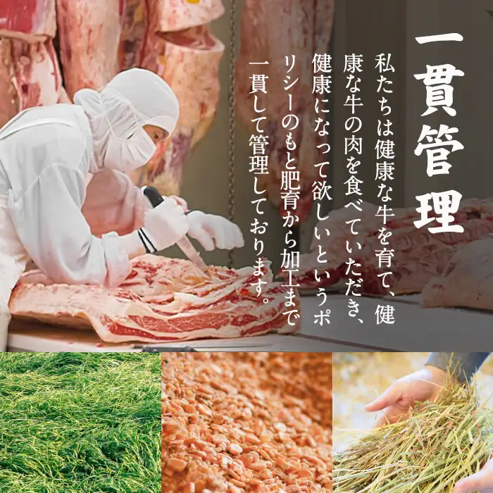 宮崎黒毛和牛焼肉セット(ロース・カルビ各300g)【AR005】【(有)有田牧畜産業 食肉加工センター】