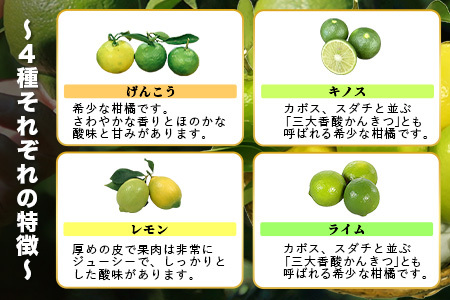  香酸柑橘類詰め合わせ 約５ｋｇ（リスボンレモン・キノス・げんこう・レモン） B-366