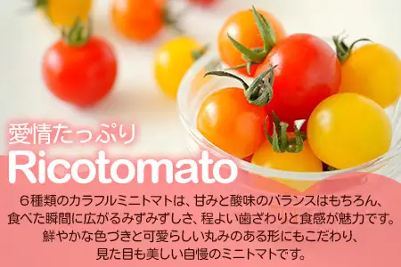【4回定期便】【先行受付】2027年1月より順次発送 カラフルミニトマト6種 1kg ミニトマト プチトマト 定期便 農家直送 たにぐちファーム Ricotomato～とりこになるトマト～ F-25
