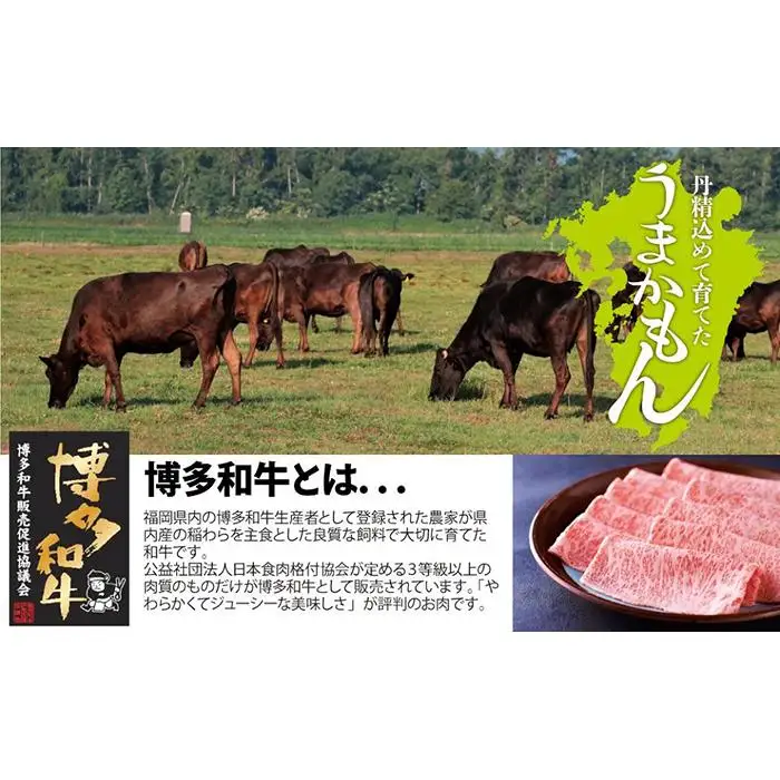 博多和牛直火焼きローストビーフ500g（250g×2本）