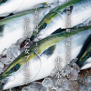 乙女ブリ4kg以上(下処理あり) 小島水産 乙女ブリ 新鮮ブリ ブリ 鰤刺し 鰤しゃぶ 鰤