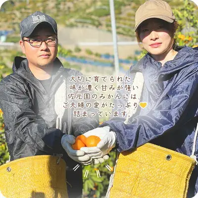和歌山県産 有田みかん【訳あり 家庭用】約5kg 小玉 3S～Sサイズ_DI6018n