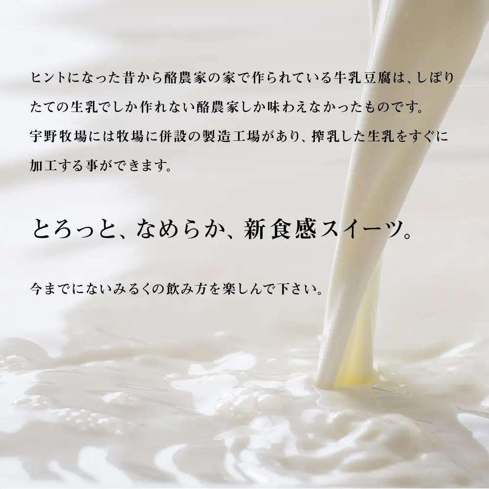 トロケッテ・ウーノ プレーン＆いちご 合計6個