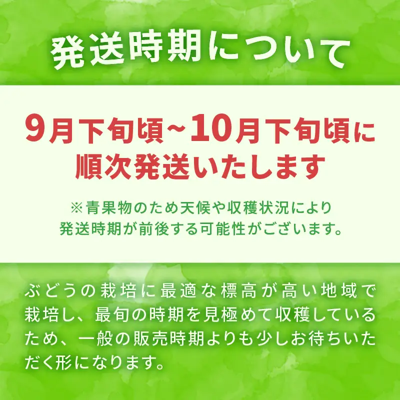 【2026年発送】【期間限定】八ヶ岳南麓の天然水で育てたシャインマスカット 900g（2～3房)  [h198]