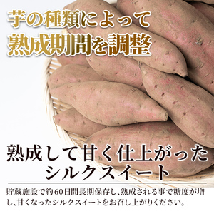 A2-028 ＜先行予約受付中！2026年10月中旬以降順次発送予定＞鹿児島県産＜シルクスイート＞土付き(10kg)【フレッシュジャパン鹿児島】霧島市 さつまいも サツマイモ さつま芋 シルクスイート 生芋