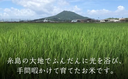 【白米・玄米から選択可能！】夢つくし 10kg ( 5kg × 2袋 )  糸島市 / 糸島パッションフルーツ工房 [AVK002]