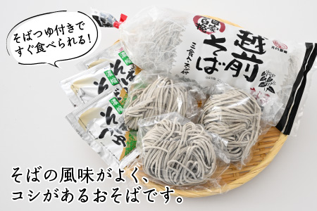 自家石臼挽 越前そば 生そば・だしつゆ付 3食×2セット [A-12625]