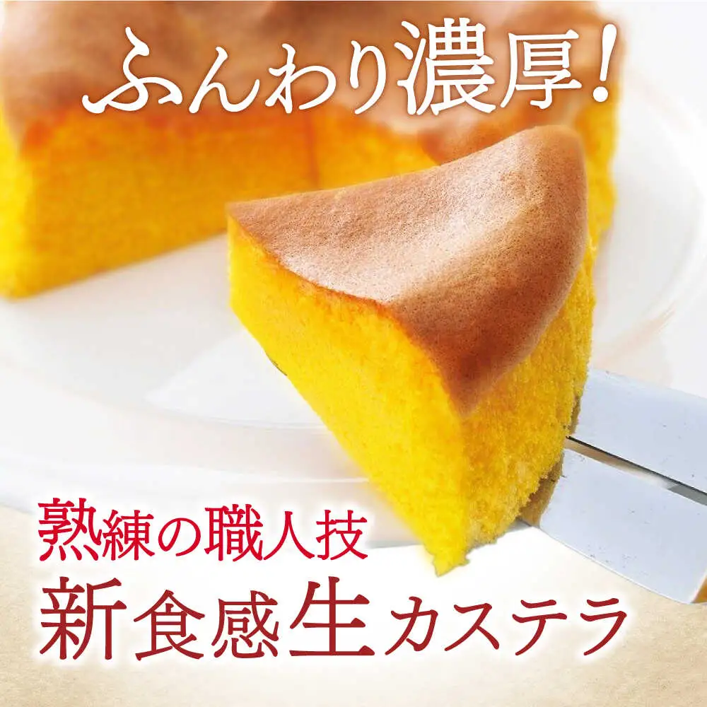 長崎ご当地スイーツシースクリームと半熟カステラ詰合せ / スイーツ シュークリーム カステラ かすてら 菓子 / 諫早市 / 株式会社梅月堂 [AHBN001] 