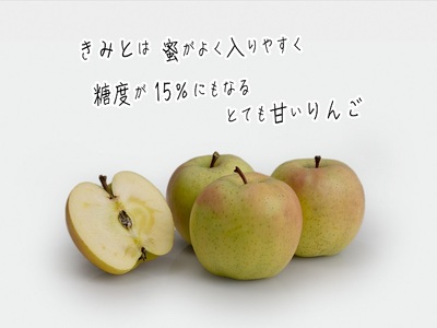 りんご きみと 訳あり ヒバリノ園 青森県産 りんご【約5kg 10〜16玉】