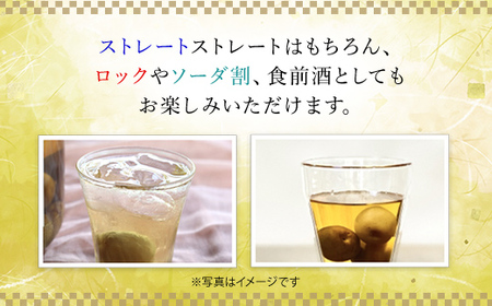 ～米の旨みと梅の香り～ 竹泉 純米山田錦仕込 氷温熟成 梅酒2.7L 梅酒 果実酒 酒 さけ お酒 おさけ 田治米合同会社 兵庫県 朝来市 AS1DB1