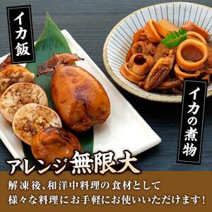 イカ 訳あり ゲソ付き 冷凍 スルメイカ 山口県産 1.2kg