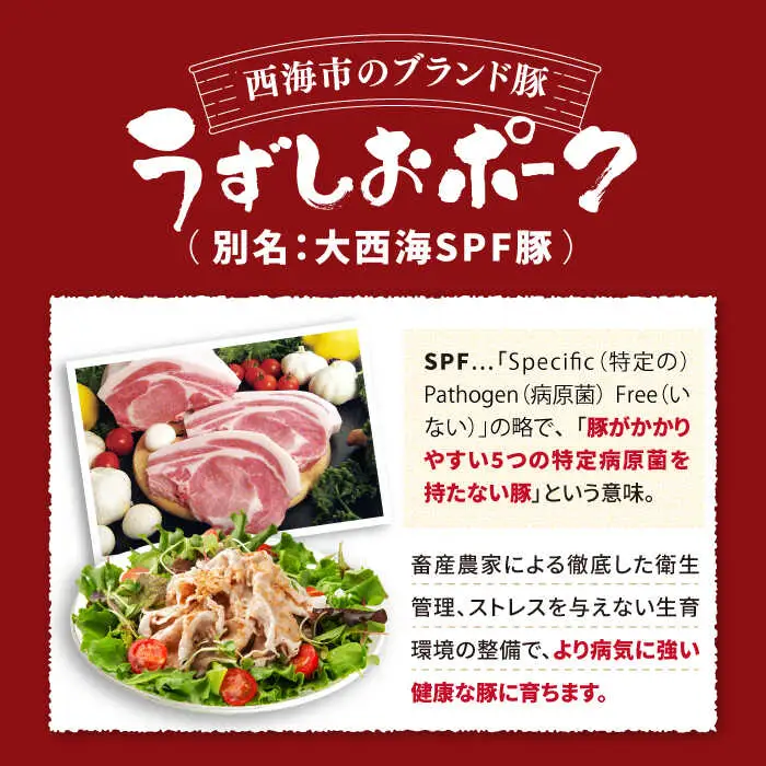 【6回 定期便 】 焼肉 長崎うずしおポーク 豚バラ 700g 訳あり＜スーパーウエスト＞[CAG021] 焼肉