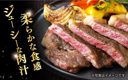 3回定期便 長崎和牛 ロースステーキ 計500g CAG205 ステーキ
