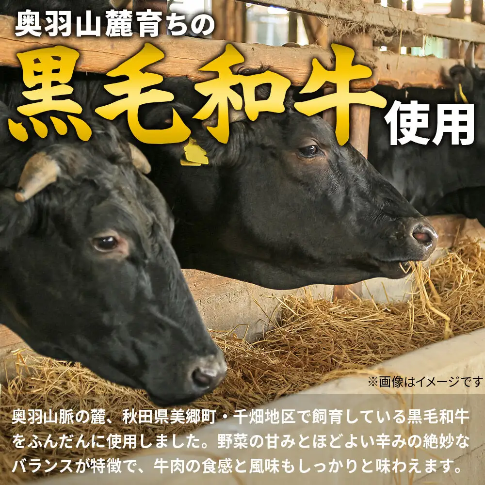 美郷町産黒毛和牛のキーマカレー2個入 あきた美郷づくり [カレー キーマカレー レトルト 2個 秋田 詰め合わせ]