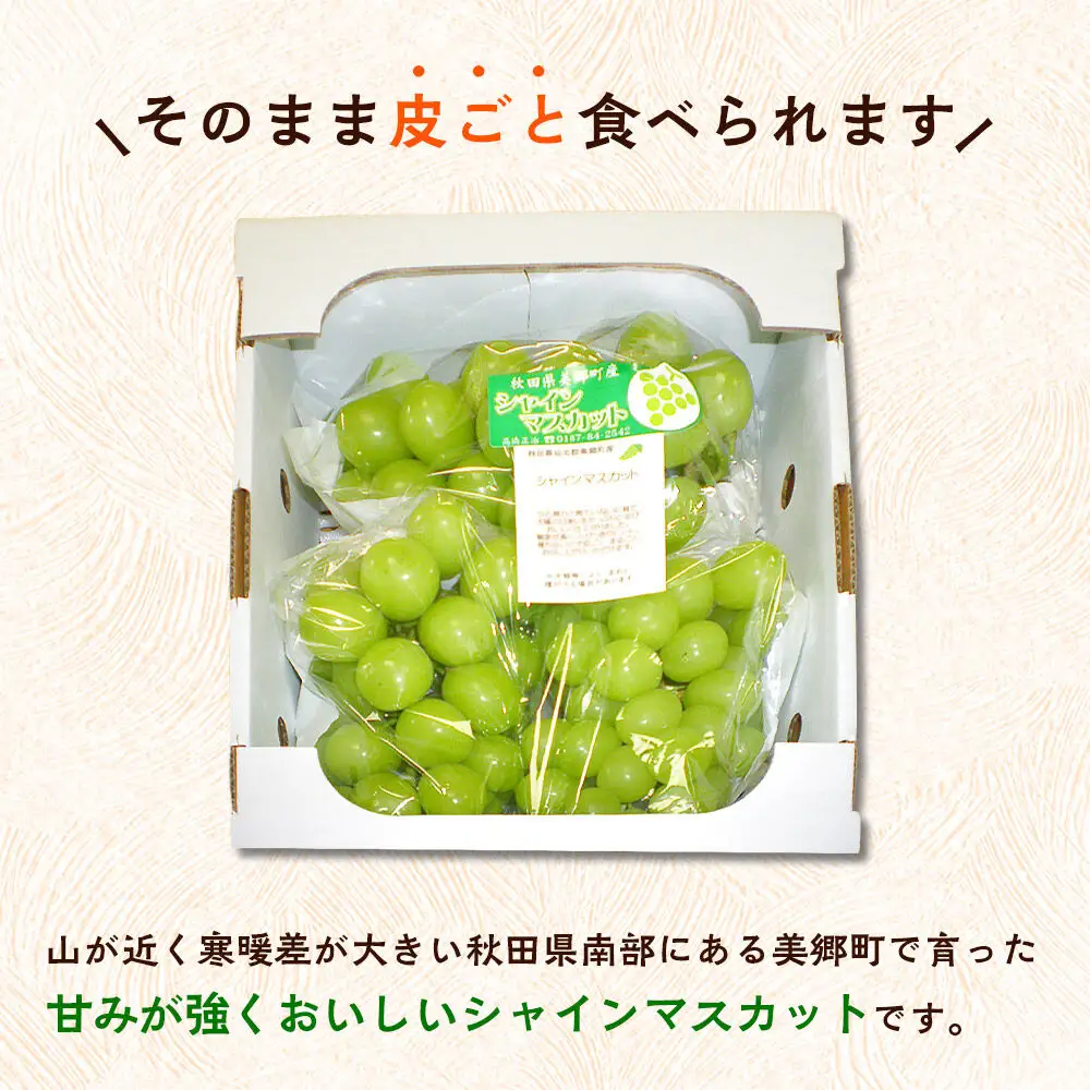 【先行受付】シャインマスカット 約2kg