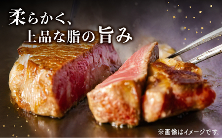 6回定期便 長崎和牛 ヒレ ステーキ 計300g＜株式会社 黒牛＞CBA005 ヒレ