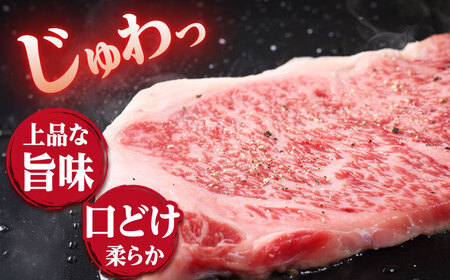 【12回定期便】 長崎和牛 サーロイン ステーキ  約600g＜株式会社 黒牛＞ [CBA072] サーロイン  サーロインサーロイン サーロイン