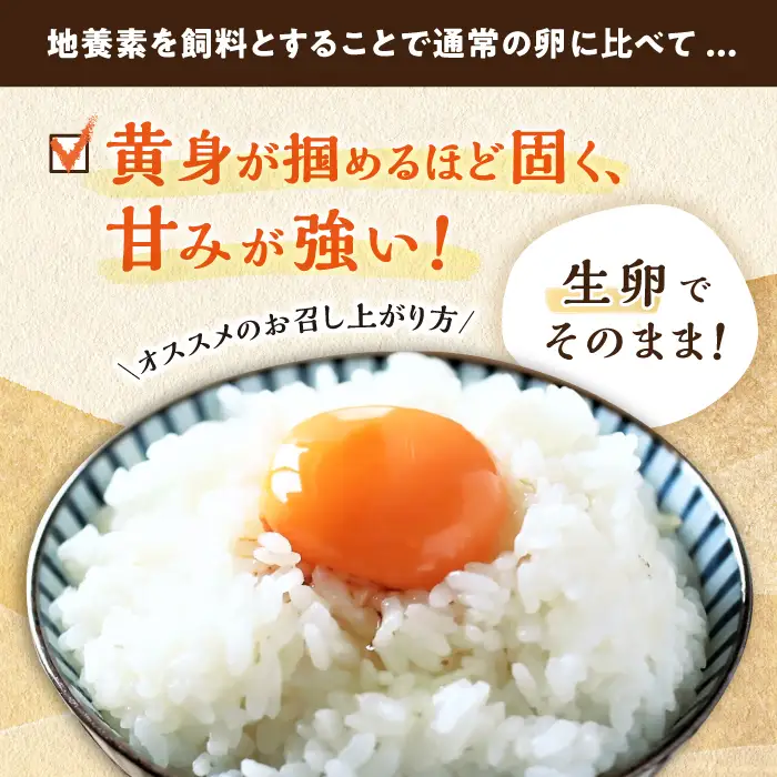 12回定期便 卵 Lサイズ 40個 | CBB004 卵