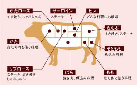 【訳あり】【日本一に輝いた和牛】長崎和牛 肩ロース（焼肉用）計１kg（500g×2パック）＜大西海ファーム＞ [CCY015]