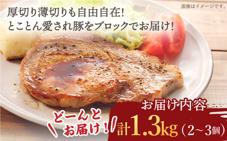 大西海SPF豚 背ロースブロック 訳あり ＜大西海ファーム＞CCY027 豚肉 ブロック 豚肉 ブロック 豚肉 ブロック 豚肉 ブロック