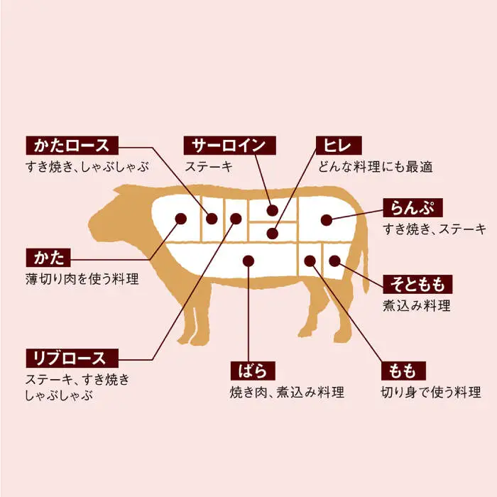【訳あり】【月1回約500g×6回定期便】長崎和牛 肩ロース（焼肉用）計3kg＜大西海ファーム＞ [CEK049]