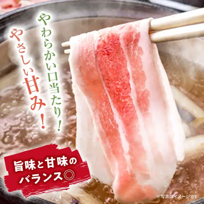 6回定期便 国産豚 SPF豚 バラ しゃぶしゃぶ 計1.2kg 訳あり CEK085 国産豚 豚肉 しゃぶしゃぶ 国産豚
