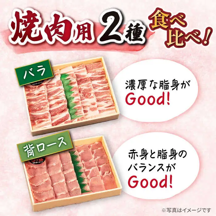 【12回 定期便 】 大西海 SPF豚 背ロース ＆ バラ（ 焼肉 用）計1.2kg（各600g） ＜大西海ファーム＞ [CEK102]