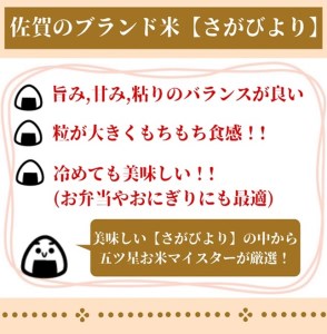 CID51_【５回定期便】無洗米さがびより５ｋｇ