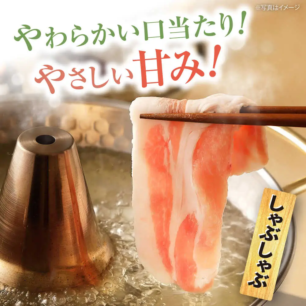 12回定期便 SPF豚 国産豚 2種 計1.2kg 訳あり CEK124 国産豚