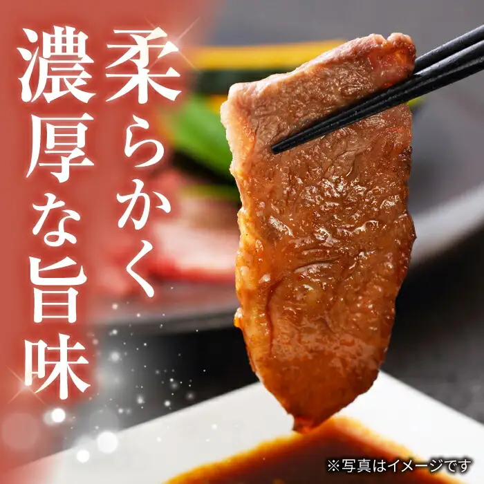 長崎和牛 焼肉用 ロース 約500g CEK132 焼肉 BBQ 