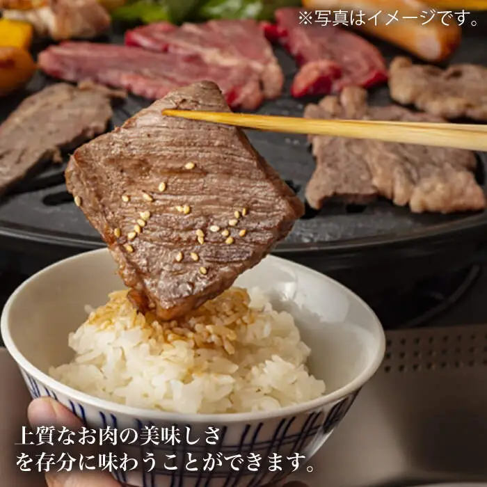 【3回定期便】【訳あり】長崎和牛 ロース食べ比べ 約1000g（焼き肉用、すき焼き・しゃぶしゃぶ用各約500gずつ）×3回定期便＜大西海ファーム＞ [CEK156]