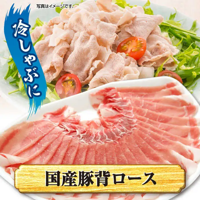 大西海 SPF豚 豚肉 4種セット 1.2kg [CEK162] 豚肉 