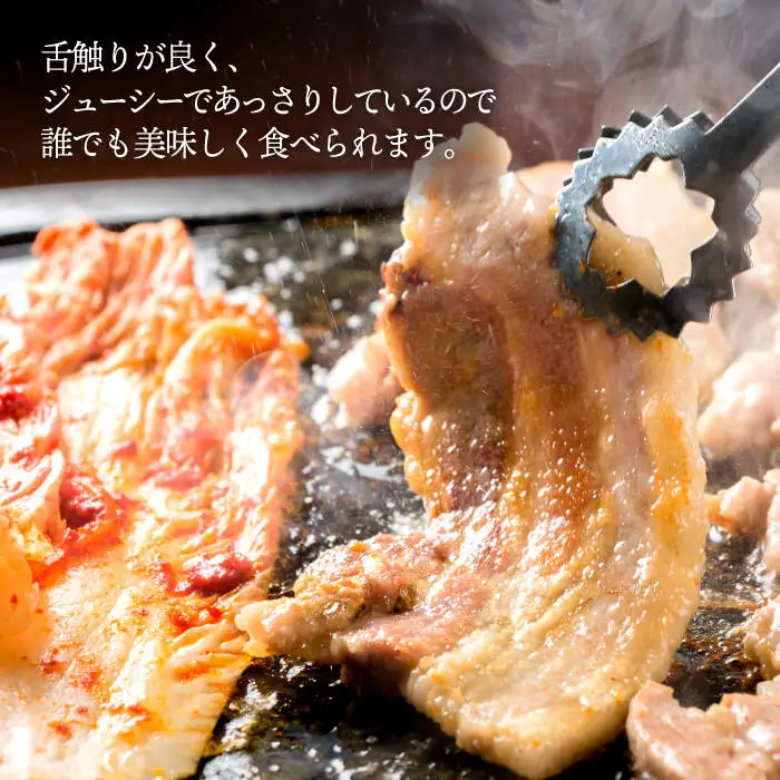 【訳あり】【6回定期便】【大人気こま切れ入り♪】大西海SPF豚 国産豚 豚肉4種類 1.2kgセット 【大西海ファーム食肉加工センター】 [CEK168]