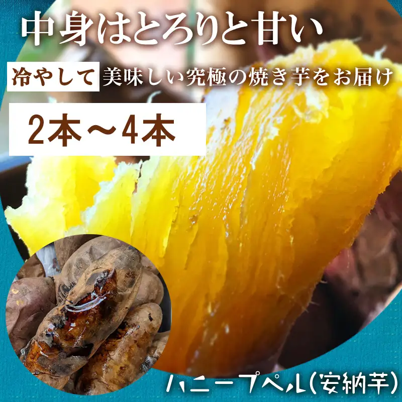 『先行予約』【11月上旬より順次発送】冷凍焼き芋 紅おとか (紅はるか系)＆ハニープぺル(安納芋) 食べ比べセット (合計1.2kg)