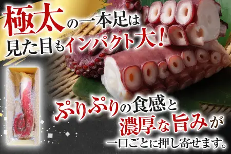 【北海道根室産】真たこ1本足 1～1.3kg A-19004