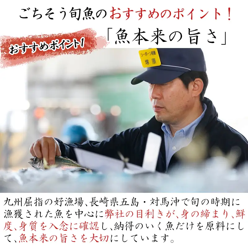 目利きが選んだごちそう旬魚 8種11枚7切 セット
