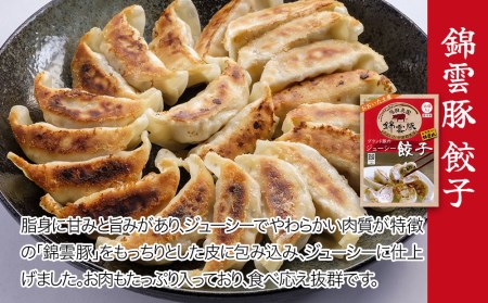 錦雲豚 角煮250g×2 餃子15個入り×2(たれ付き) | 冷凍食品 肉餃子 惣菜 冷凍おかず 冷凍餃子 豚の角煮 大分県産 九州産 中津市 国産 送料無料