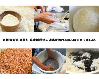 おもち 約1.2kg（黒米・赤米・緑玄米・白 各約300g）【2026年12月下旬～2027年2月上旬迄発送予定】