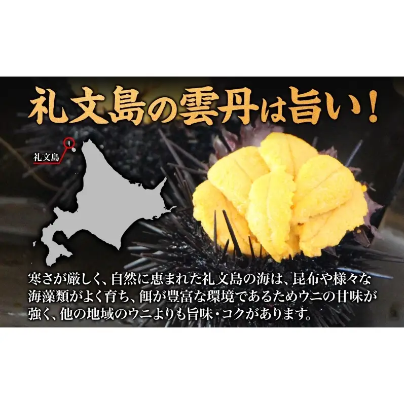 礼文産 塩水ウニ キタムラサキウニ 100g×5 うに