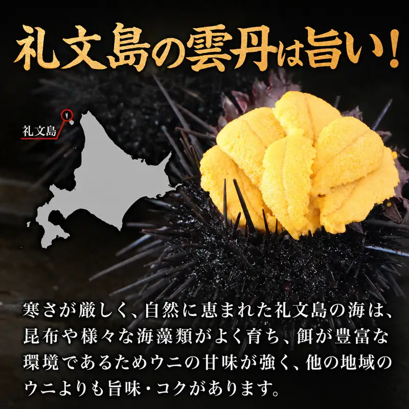 うに 礼文島産 塩水生うに キタムラサキウニ うに【100g×12パック】