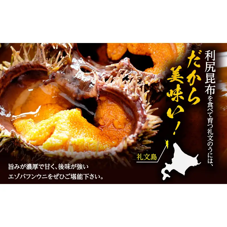 礼文産 エゾバフンウニ 塩水 500g(100g×5) うに