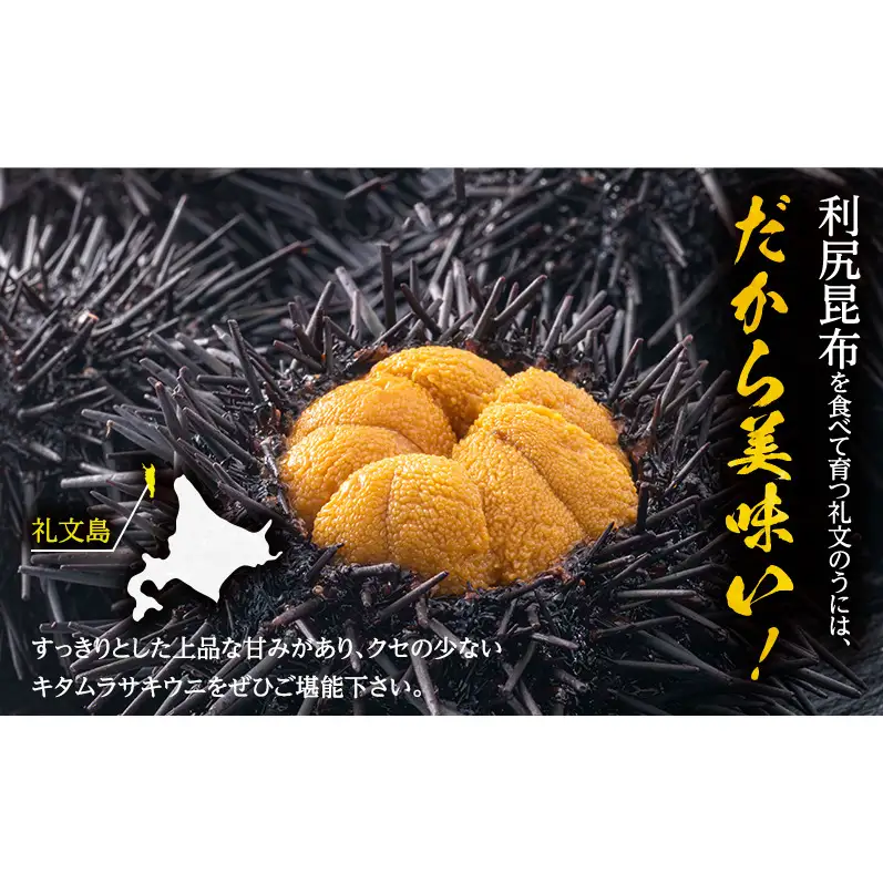 礼文産 キタムラサキウニ 塩水 300g(100g×3) うに